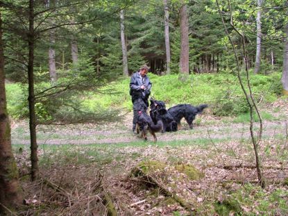 Ronald, de Hova fluisteraar...