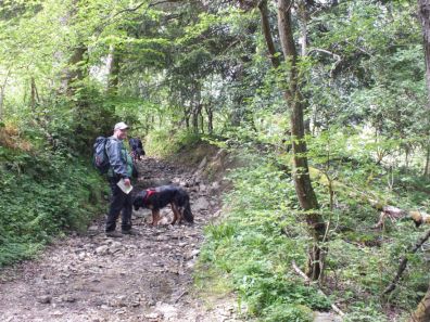 Een laatste holle weg... Mooi nietwaar...