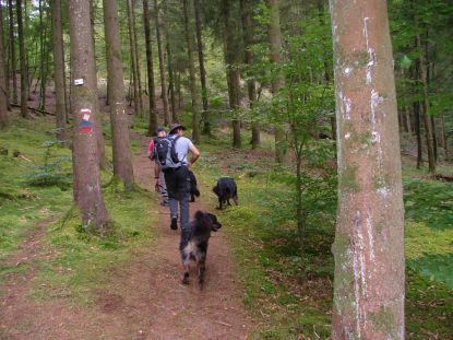 Start van het fatale bergpad...