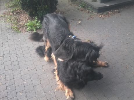 B'Elanna moest Aiko flink troosten!