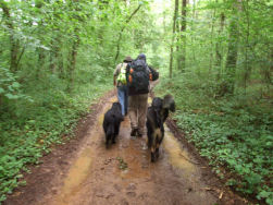 Na een stijle klim een modderig pad.