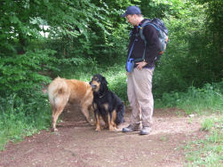 Als Chicco snuffelt, gaat Jadzea zitten.