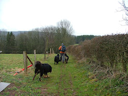 De omschrijving was perfect.