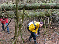 Bukken is de boodschap Ingrid!