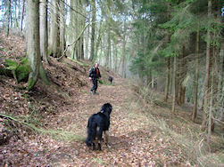 Marc en Arie zijn niet te stoppen...