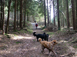 Een meer dan stevige klim!