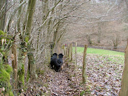 Dunja en Jadzea zijn onafscheidelijk!!