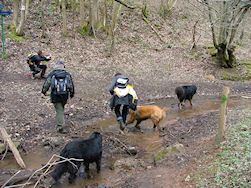 Tijd om de echte kleuren te voorschijn te toveren!