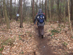 Het laatste stukje door de bossen.