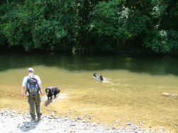 Zelfs Jadzea ging spontaan zwemmen!