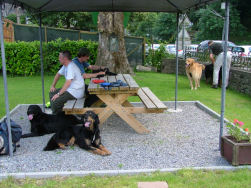 Nog steeds een werk van barmhartigheid...