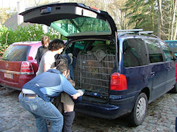 Er waren zelfs Hovawartjes bij!