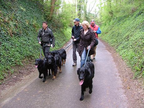 Nog even wat asfalt...