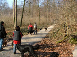 Afwisseling troef, vlak stukje.