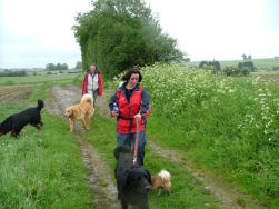 De laatste open vlakte.