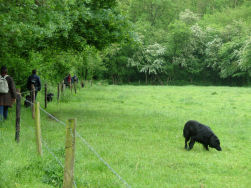 Dunja zocht haar eigen weg...