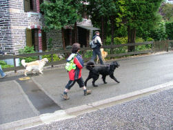 Dante kent de weg...Vooolgen!