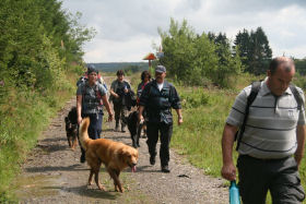 Eindelijk terug het zonnetje in.