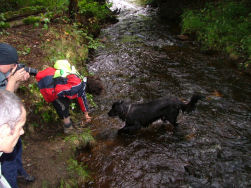 Tijd om de hondjes proper te spoelen.
