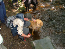Het Black uit de Tan krijgen...