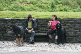 Over een Hovawart weet je altijd wat zeggen.