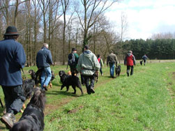 Even de hondjes onder controle houden.