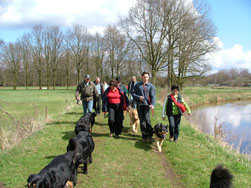 De hondjes liepen nu bijna allemaal vrij...