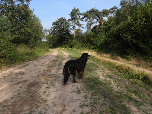 Hier moet B'Elanna verder alleen...