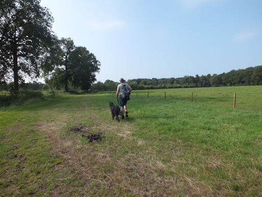 Op weg naar de Chaambeek.