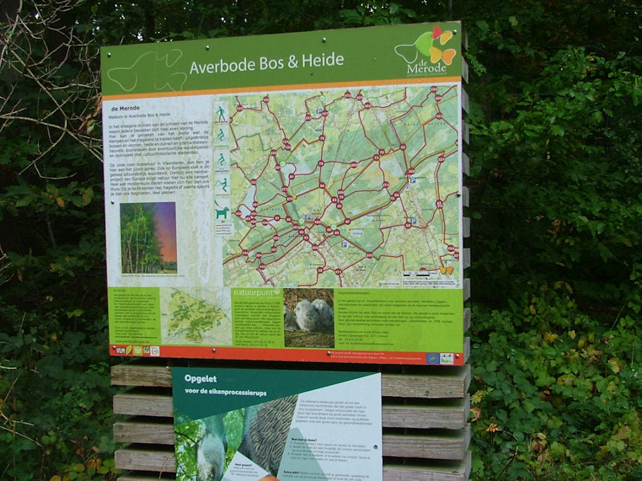 Een veelheid aan wandelknoopunten laat je toe deze uitgebreide bossen te verkennen.