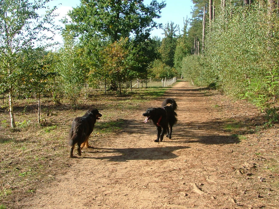 Onze lievelingen kregen zoveel mogelijk de vrijheid. Ssssttt, nie verder vertellen.