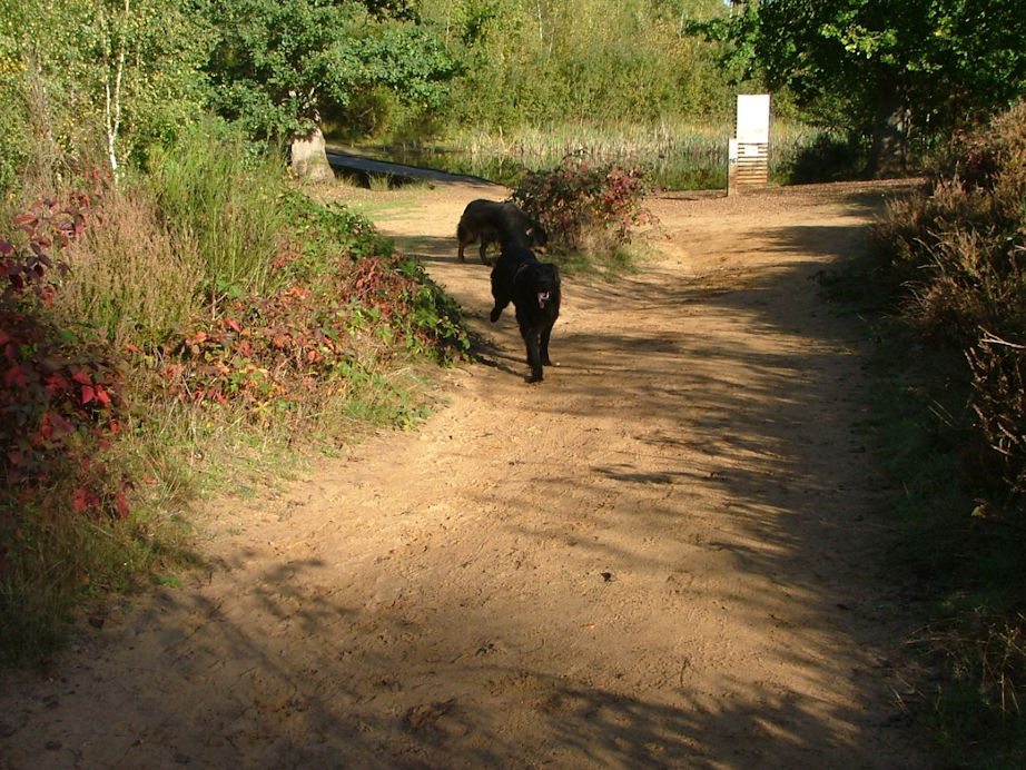 Voor ieder wat wils, het vijverwater werd door B'Elanna gesmaakt.