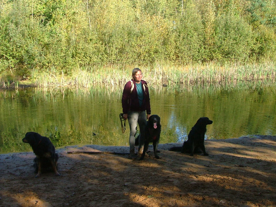 Dit is het beste wat we er van konden maken.