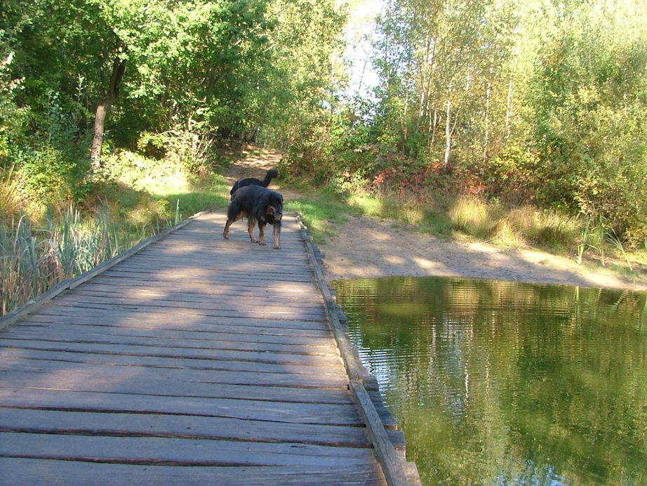 Toch maar het brugje over...
