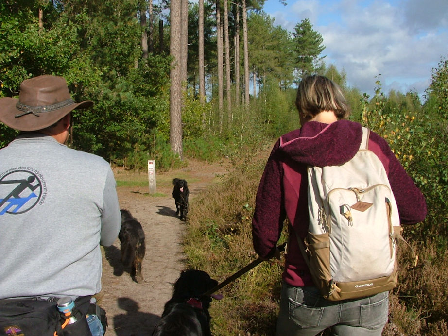 Geef toe: dit straalt rust uit!