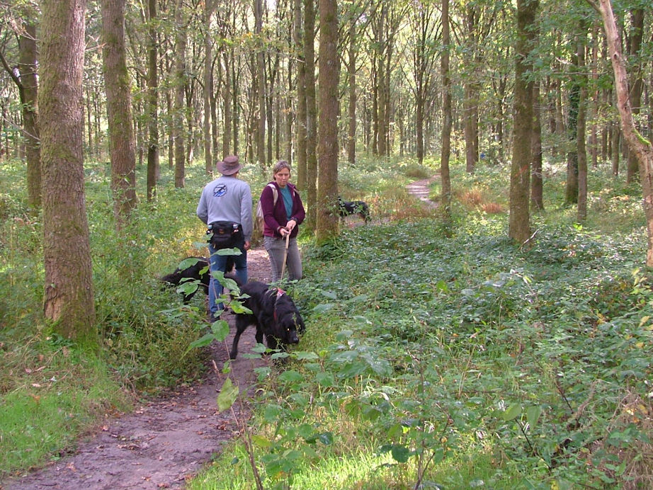 Een beetje verder even een drukke baan oversteken, aanlijnen dus maar.