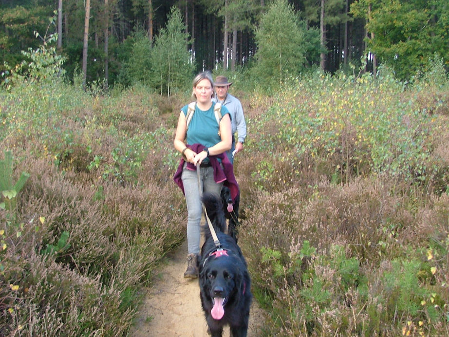 Geef toe, steeds wisselend landschap.