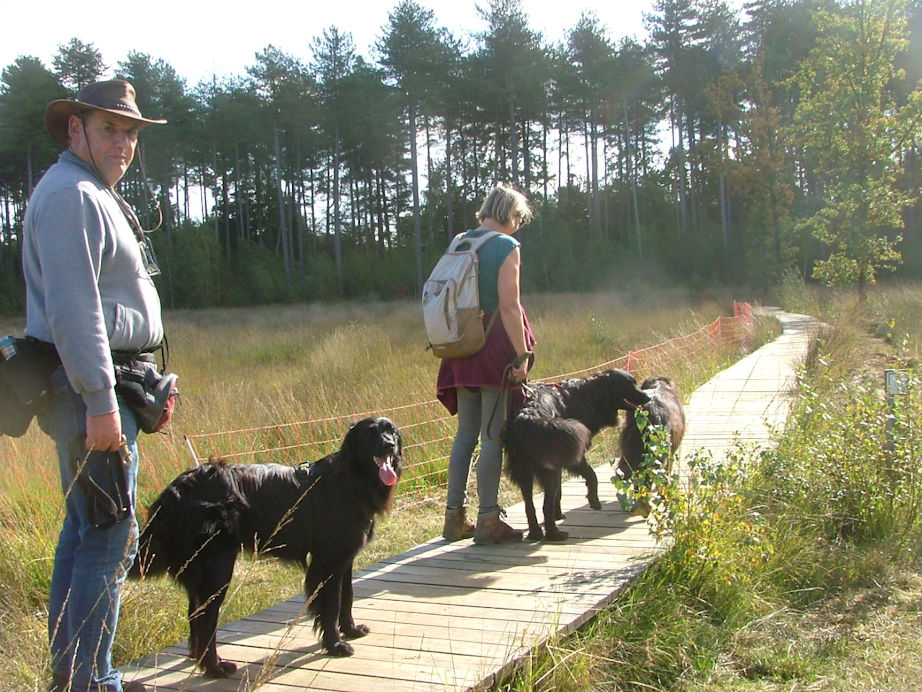 De vlonderpaden, of plankenwegen, maken het wandelen af en toe wat makkelijker.