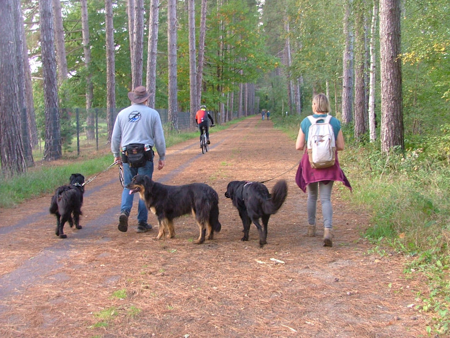 We waren het bijna vergeten... er komen hier ook andere wandelaars en fietsers. Eindpunt in zicht
