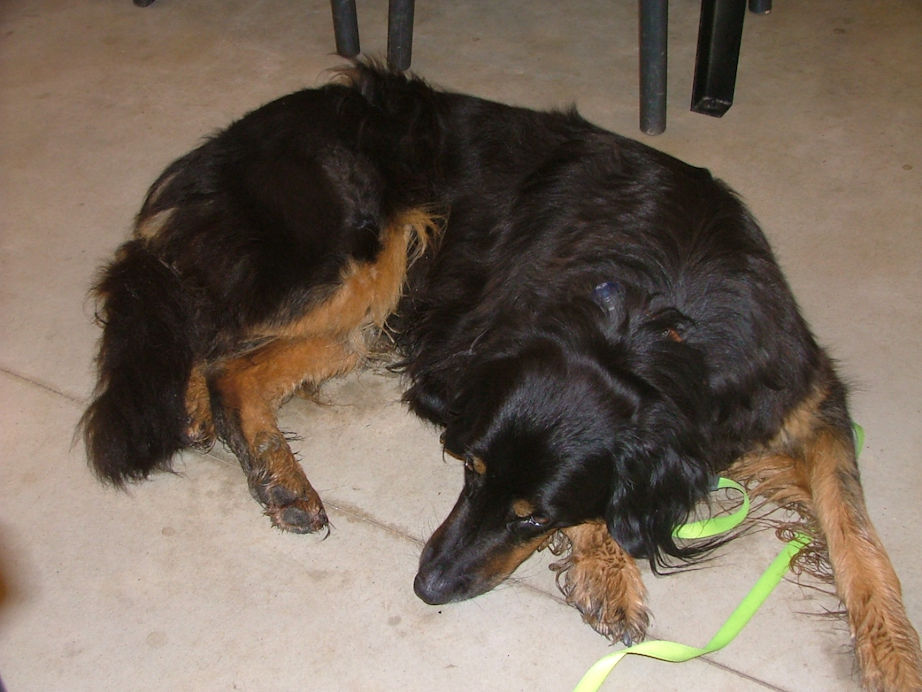 B'Elanna probeerde weer zo goed als mogelijk in de weg te liggen.