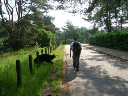 Start van de wandeling: Recreatiedomein Keiheuvel Balen.