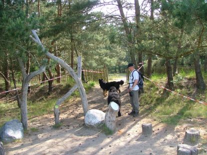 Eindelijk genieten van de vrijheid!