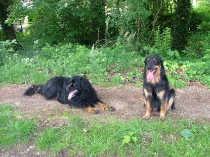 Rustpauze langs het kanaal in de schaduw!