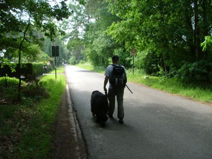 Na het kanaal, terug openbare weg.