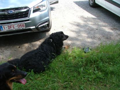 Bekomen van een zware, hete wandeling!