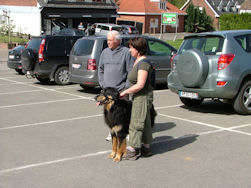 Doni nam een tijdje Boss onder zijn hoede.