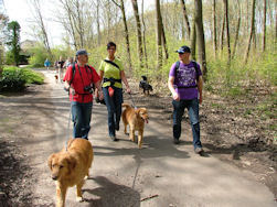 Door een beboste bewoonde wereld...