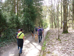 De Hovawartjes gdroegen zich bijna voorbeeldig...