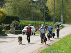 Bijna halverwege en...