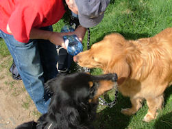 ...om de dorstigen te laven!